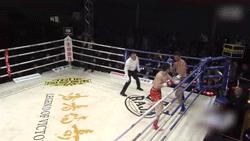 苍山少侠付高峰ko集锦,苍山少侠付高峰秒杀日本选手