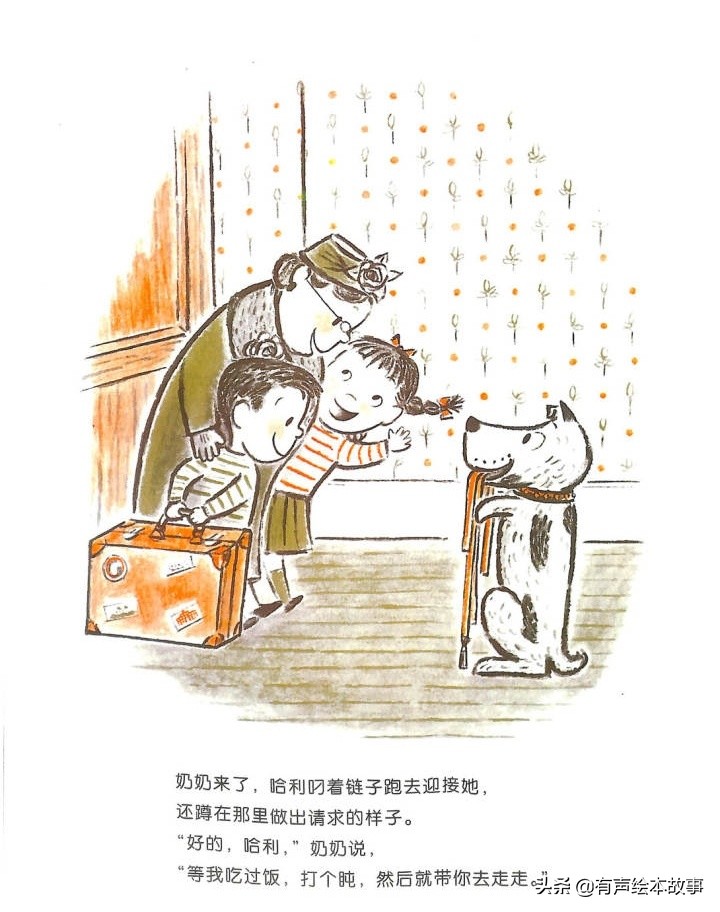 儿童故事哈利的花毛衣,哈利不可以有声绘本故事