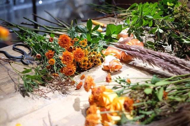 杨澜专访张艾嘉,杨澜采访张艾嘉