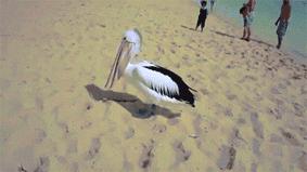 喷嚏憋不住,喷嚏打不出来憋得难受怎么回事