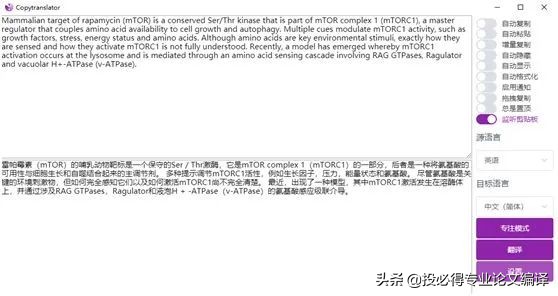 一文解决中英参考文献混排问题,一文搞定英语写作技巧