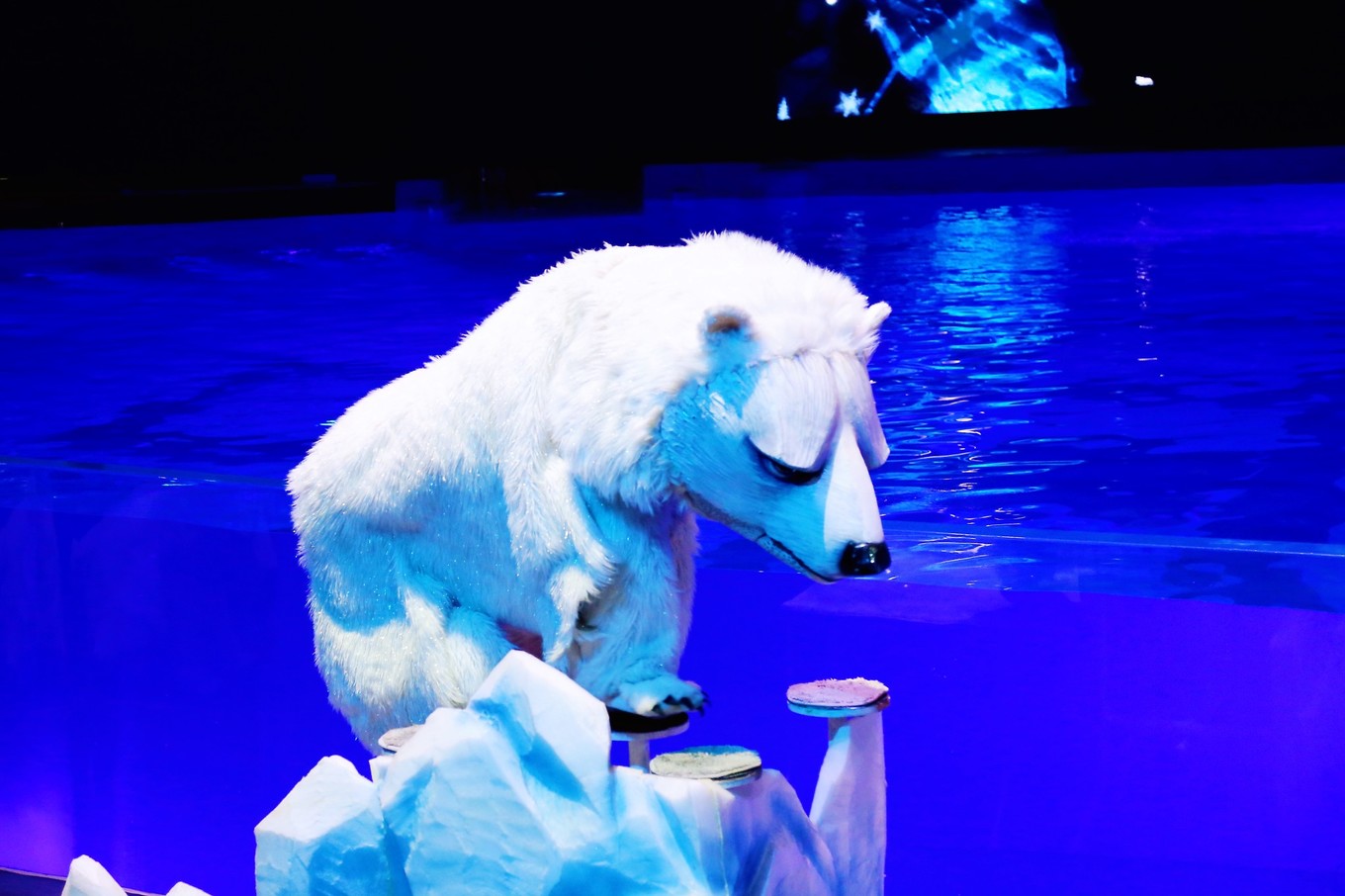 三亚自由行5天4晚亲子游攻略,寒假三亚5天4晚3人亲子游团购