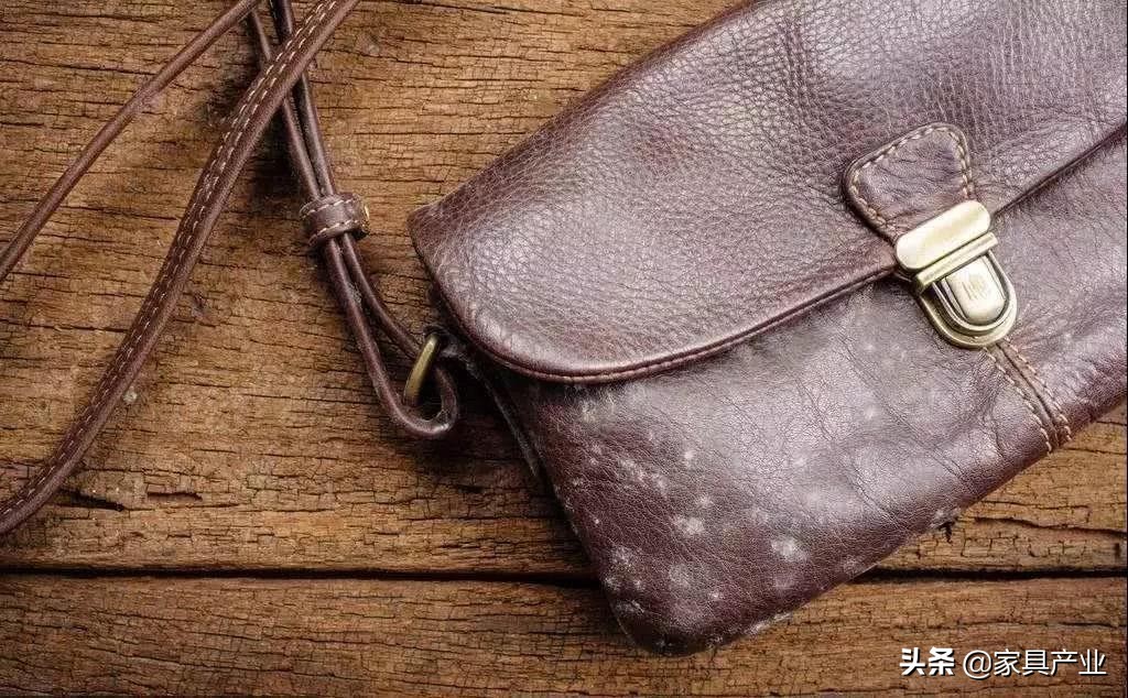 南方人家里一年四季都在发霉？这份除霉秘籍快收好