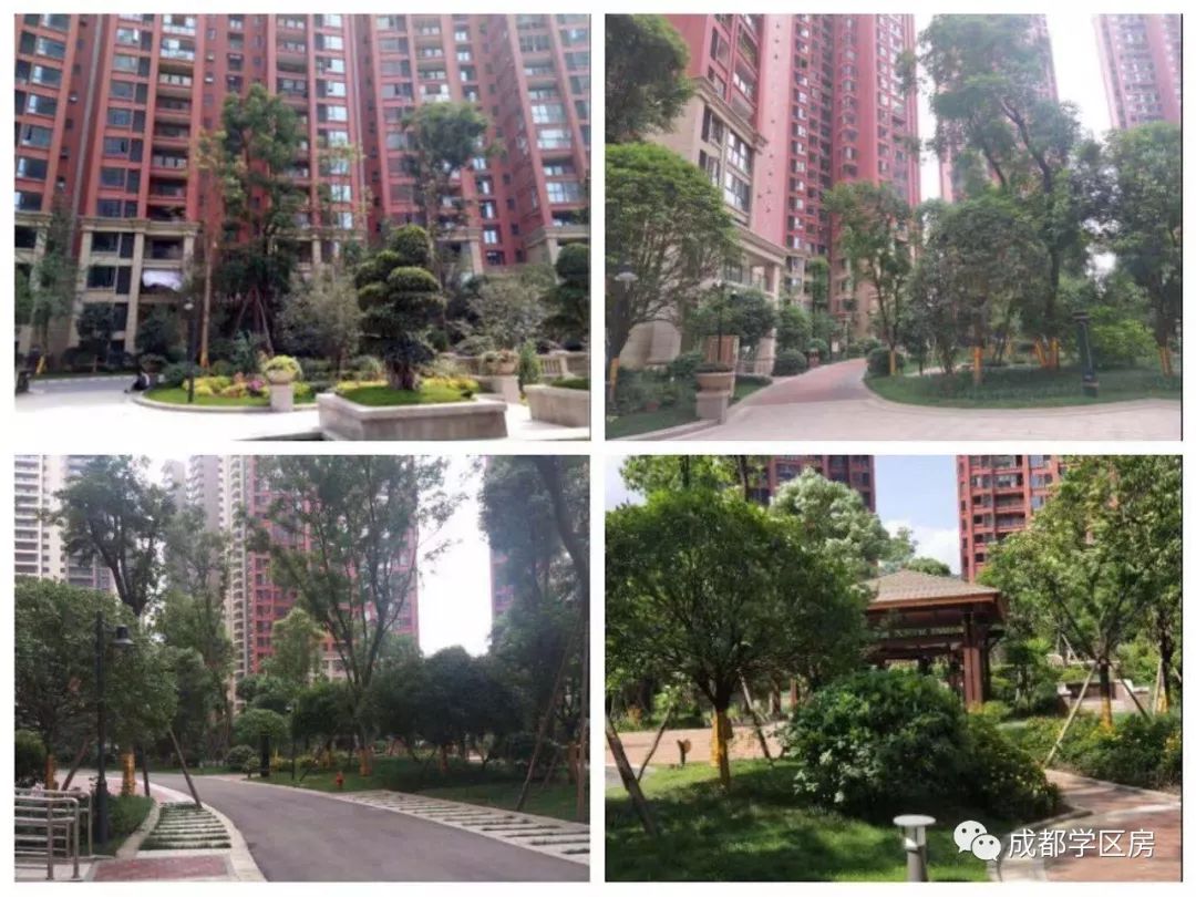 天府新区私立小学招生简章,天府新区第六小学对应初中