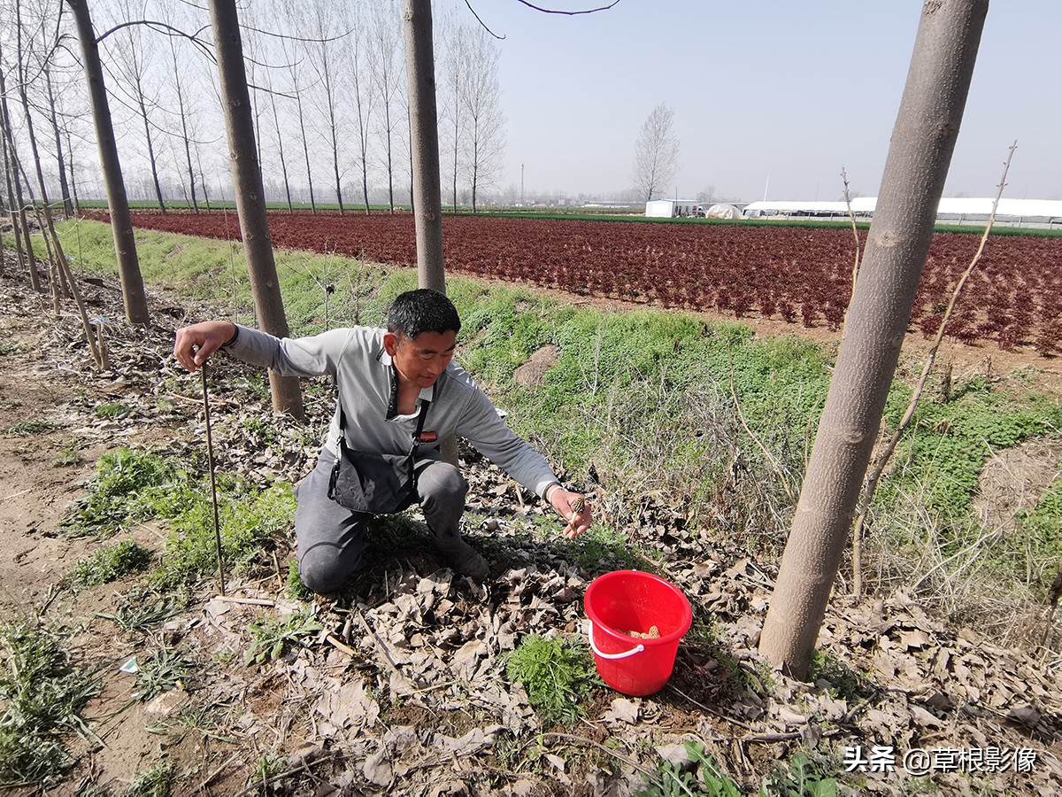 农村大叔挖古董,农村老大爷寻宝