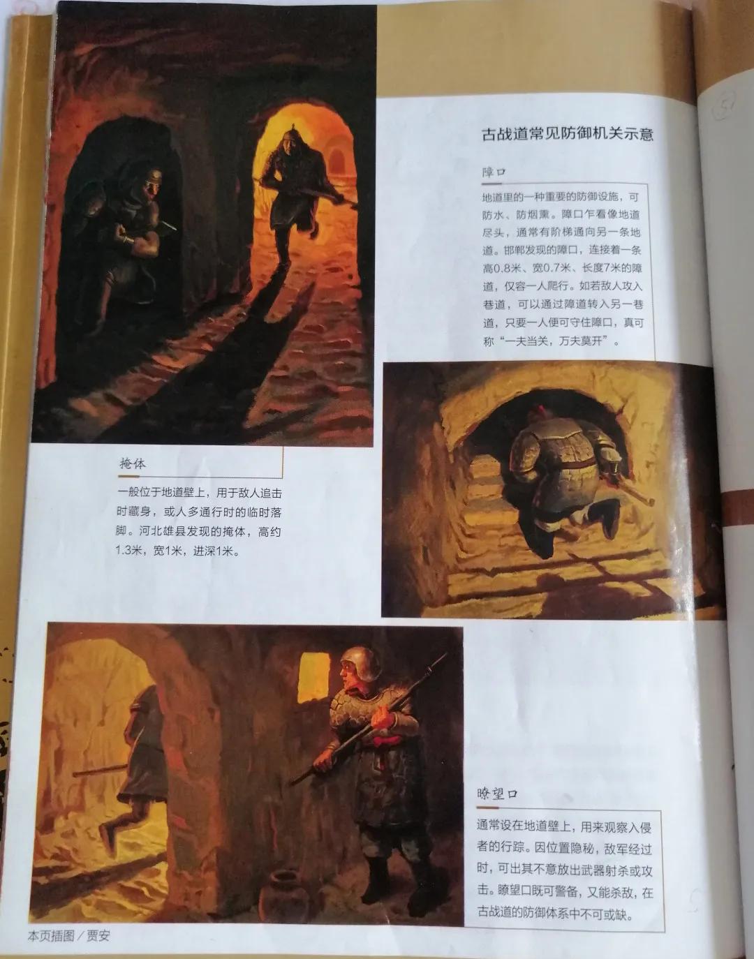 70年峰峰人|“峰峰*物文**第一人”带你走近神秘惊险的文保世界