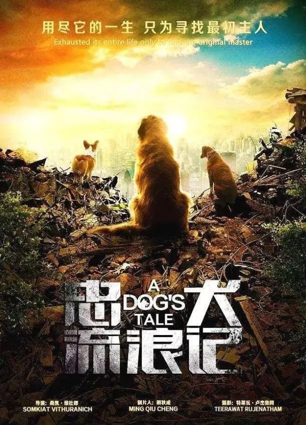 影院速递|9月院线电影精彩推荐