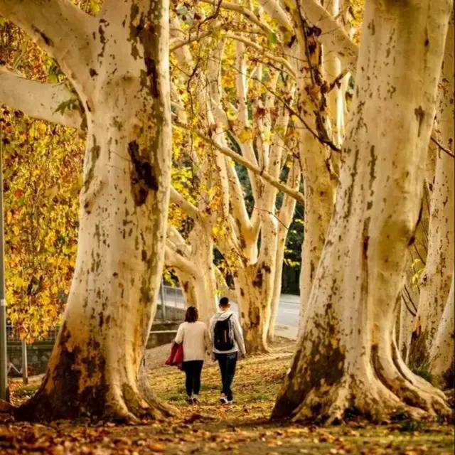 历史上消失的中国名校,有哪些历史悠久却名气不大的高校