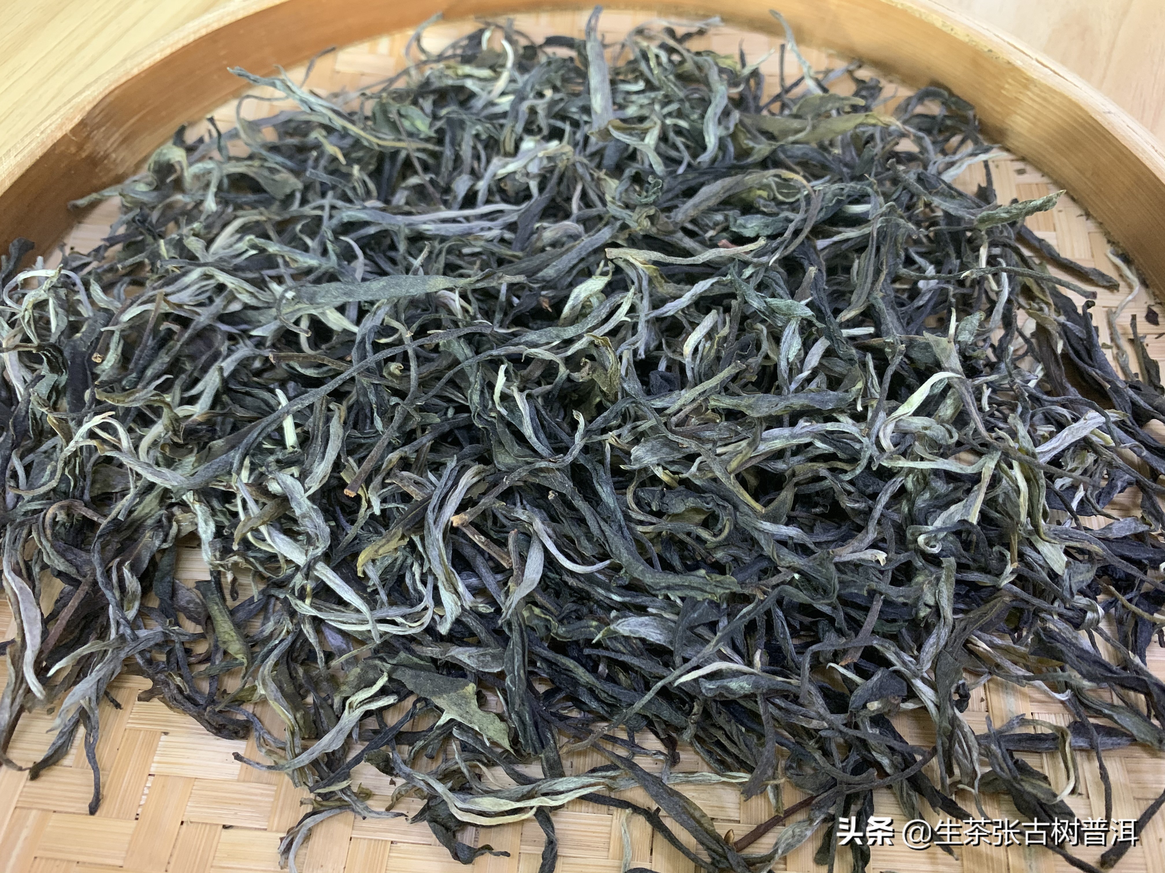 坝歪古树茶口感怎么样,南糯山半坡老寨古树茶口感