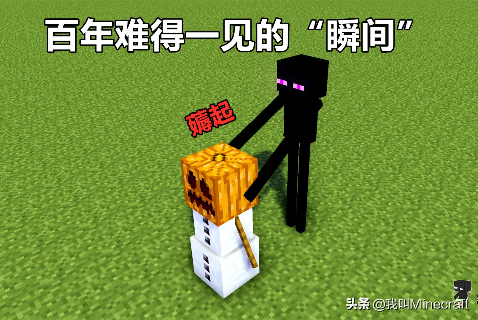 我的世界末影人击杀小黑,我的世界末影人小黑图片