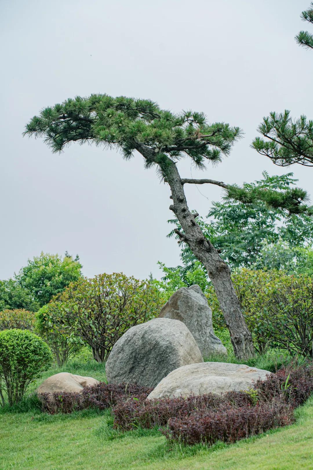 西安花海小森林,西安周边适合郊游野餐的地方