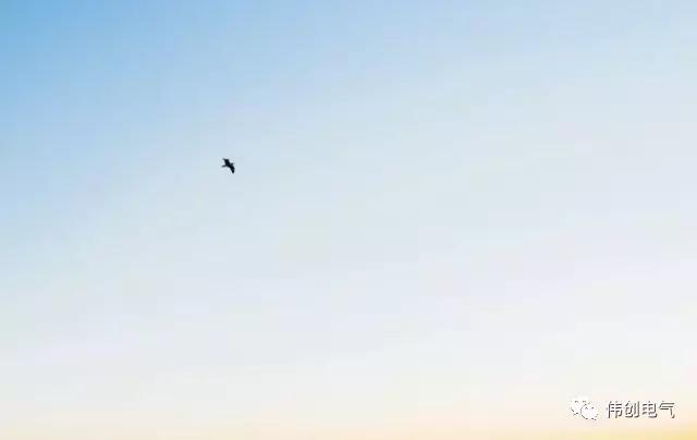 伺服与变频技术知识点,伺服与变频的区别