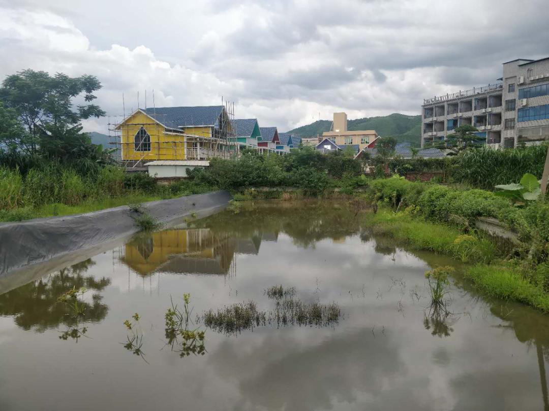 云端设计丽水,云端设计系统