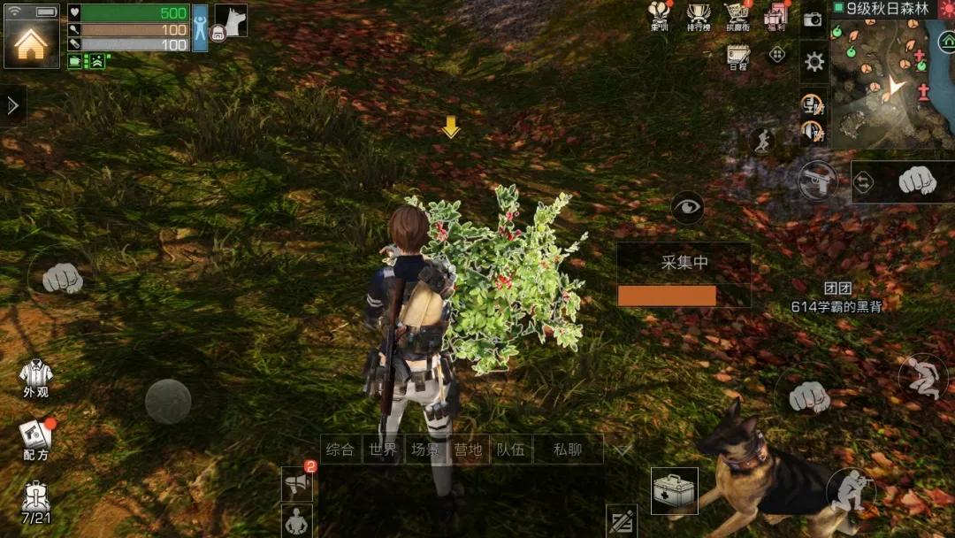 明日之后前期攻略大全,明日之后查看图鉴怎么完成