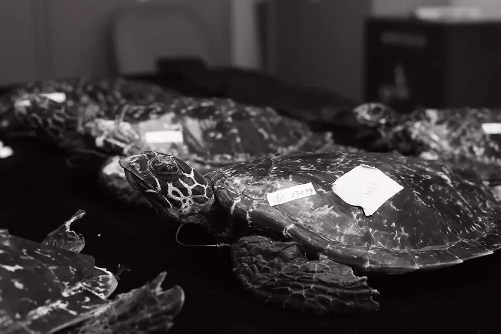 出国旅游禁忌捡东西,出国旅游哪些食品不能带