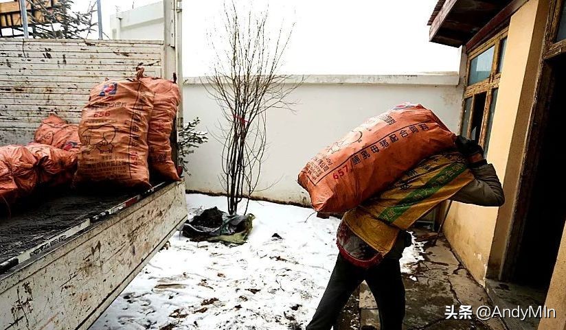 挖10万元1斤的虫草,却买不起一个玩具|高原孩子的残酷童年