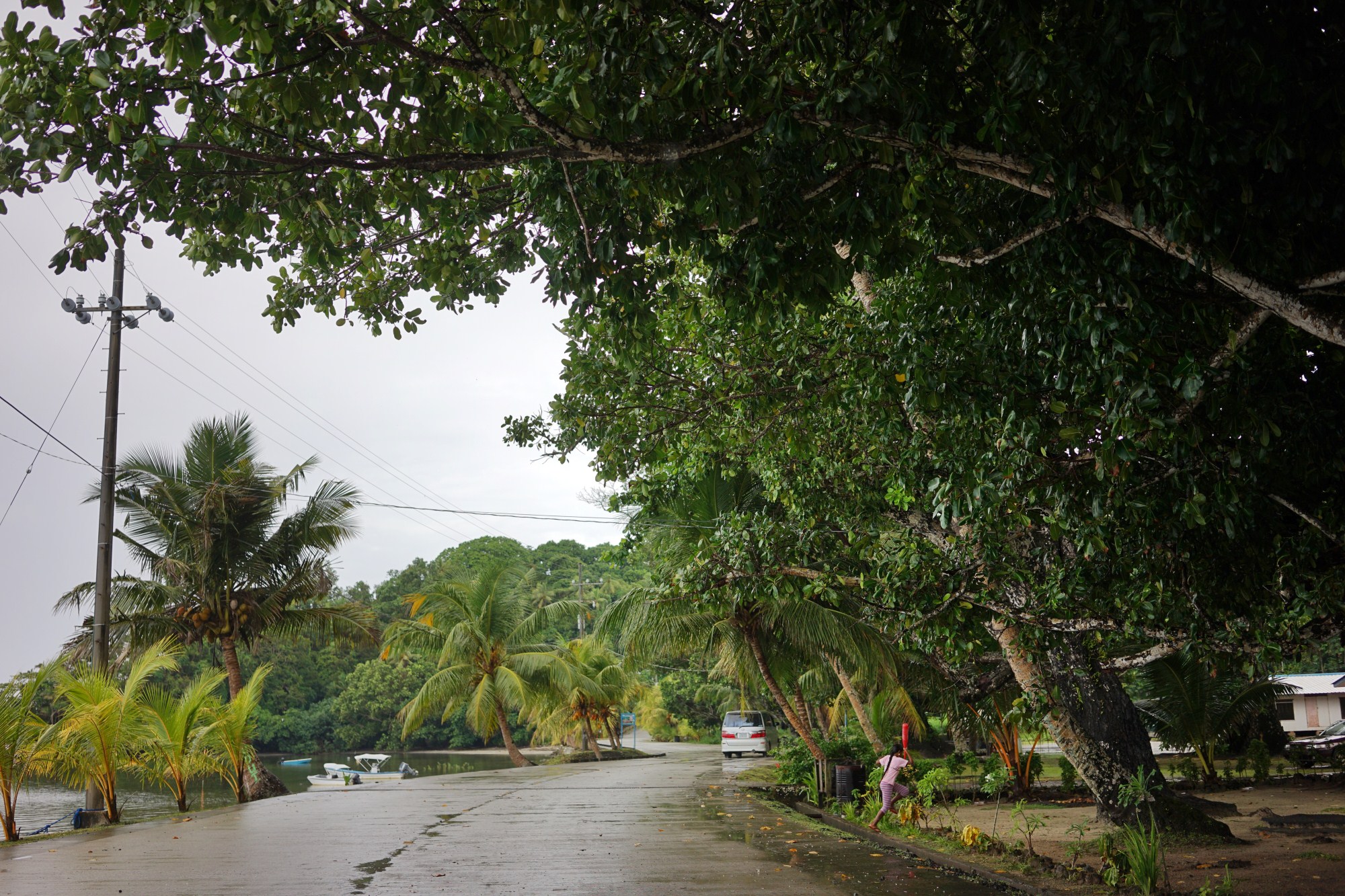 一定是特别的缘分——帕劳,再遇见「周若雪Patty」·上
