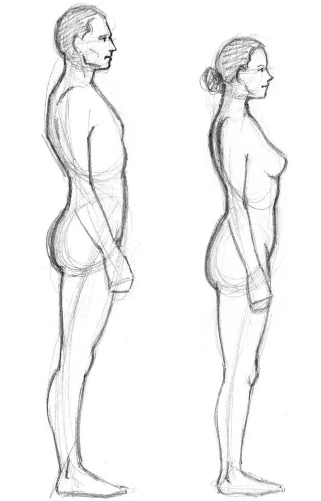 脸部线稿基础画法,线稿结构图怎么画