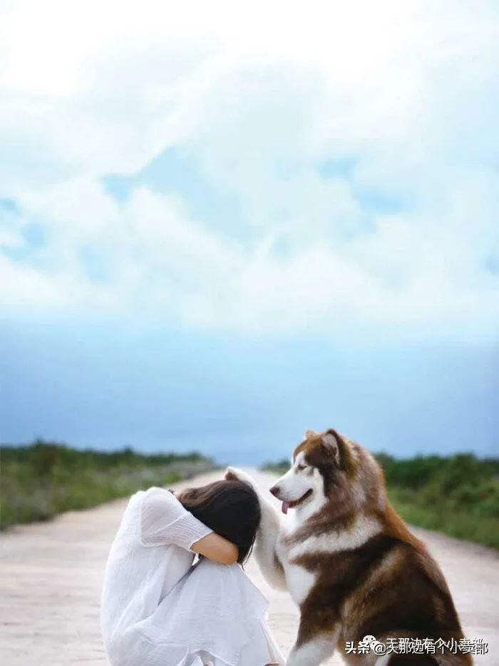 一个叫木头一个叫马尾,一个叫木头一个叫马尾出处