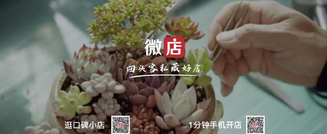 中国社交电商十大风云人物,2018社交电商前50强