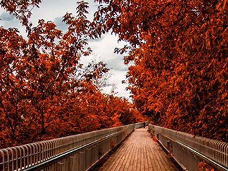 人生在世就是修行修自己,人生在世无非就是一场修行