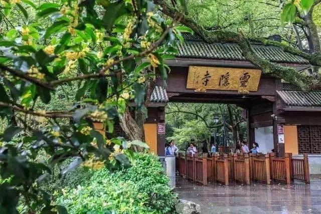 苏州杭州哪个城市值得落户,苏州和杭州哪个更美