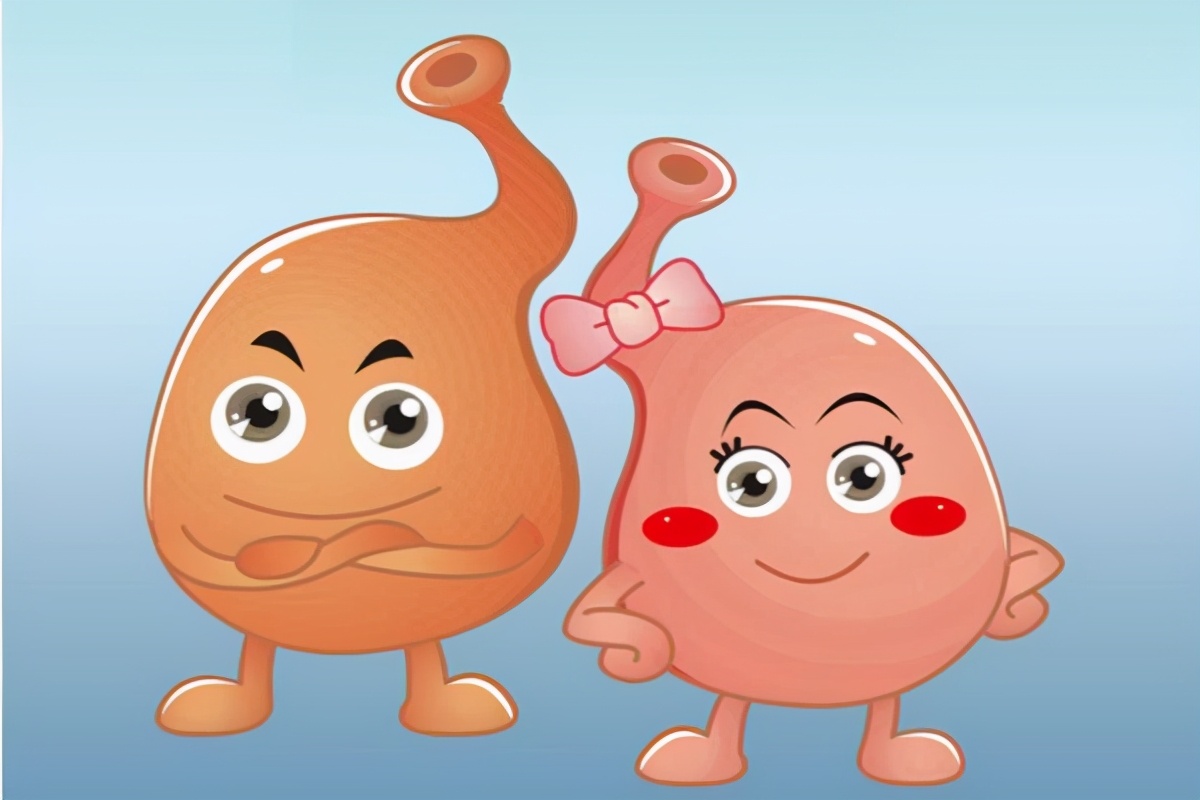 缺铁性贫血用哪种补铁最好,一直缺铁性贫血怎样正确补铁