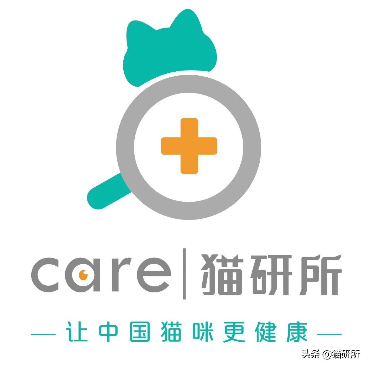 捡到的流浪小猫还能还给猫妈妈呢,从路边捡回来的小猫咪该怎么照顾