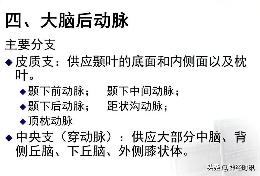 脑动脉解剖学讲解,脑膜中动脉解剖讲解