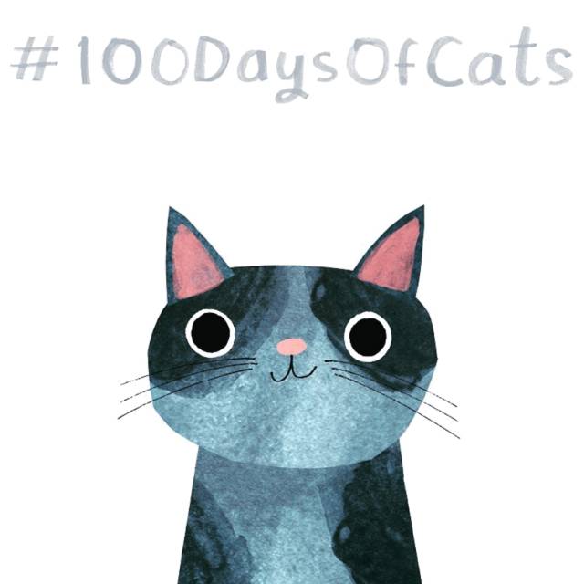 姑娘1天画1只猫坚持了100天 (坚持画猫100天的姑娘太有才了)