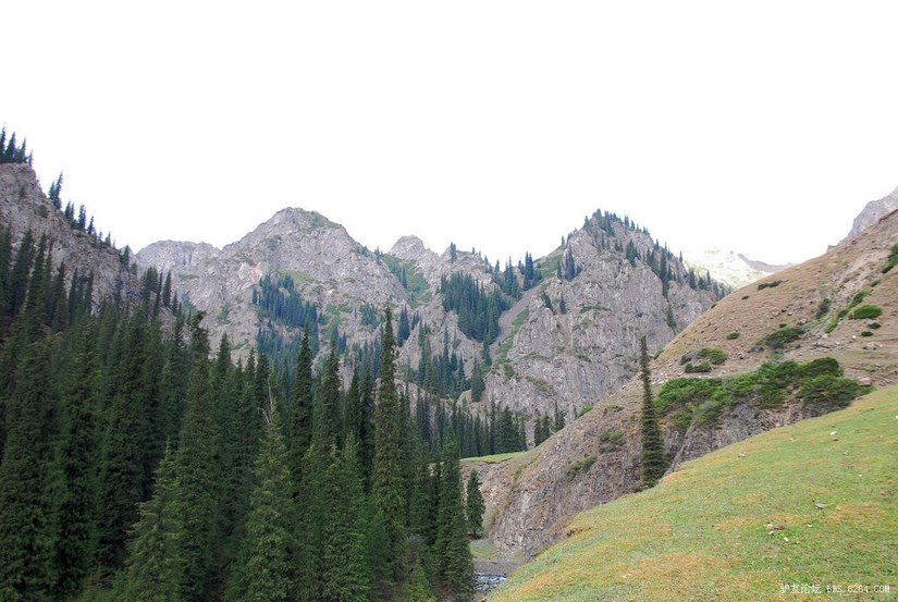 狼c调简谱教唱,狼c