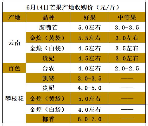 小台芒最低价一斤多少元 (鹰嘴芒多少钱一斤市场价)