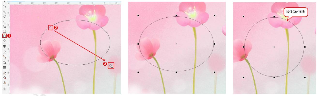 新手学coreldraw图形图像制作,coreldraw开图入门基础教程