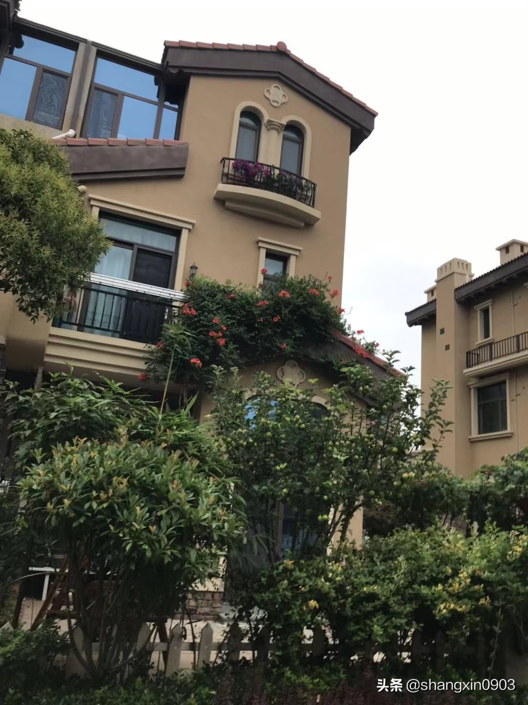 娴烽槼纰ф鍥紨鍞变細,娴烽槼涓佸瓧婀剧ⅶ妗傚洯