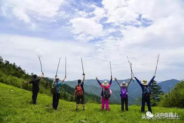 探秘汉中,汉中一村子窜入野生羚牛