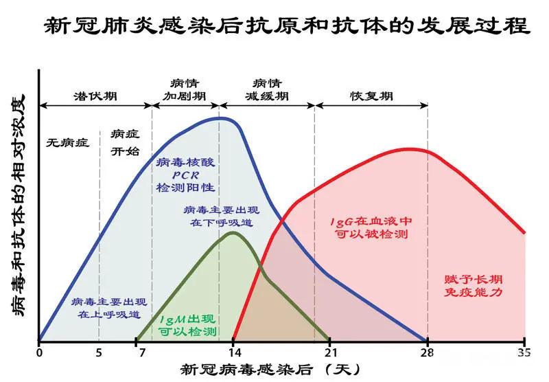 德国和美国发明治新冠肺炎药,德国如何防新冠肺炎