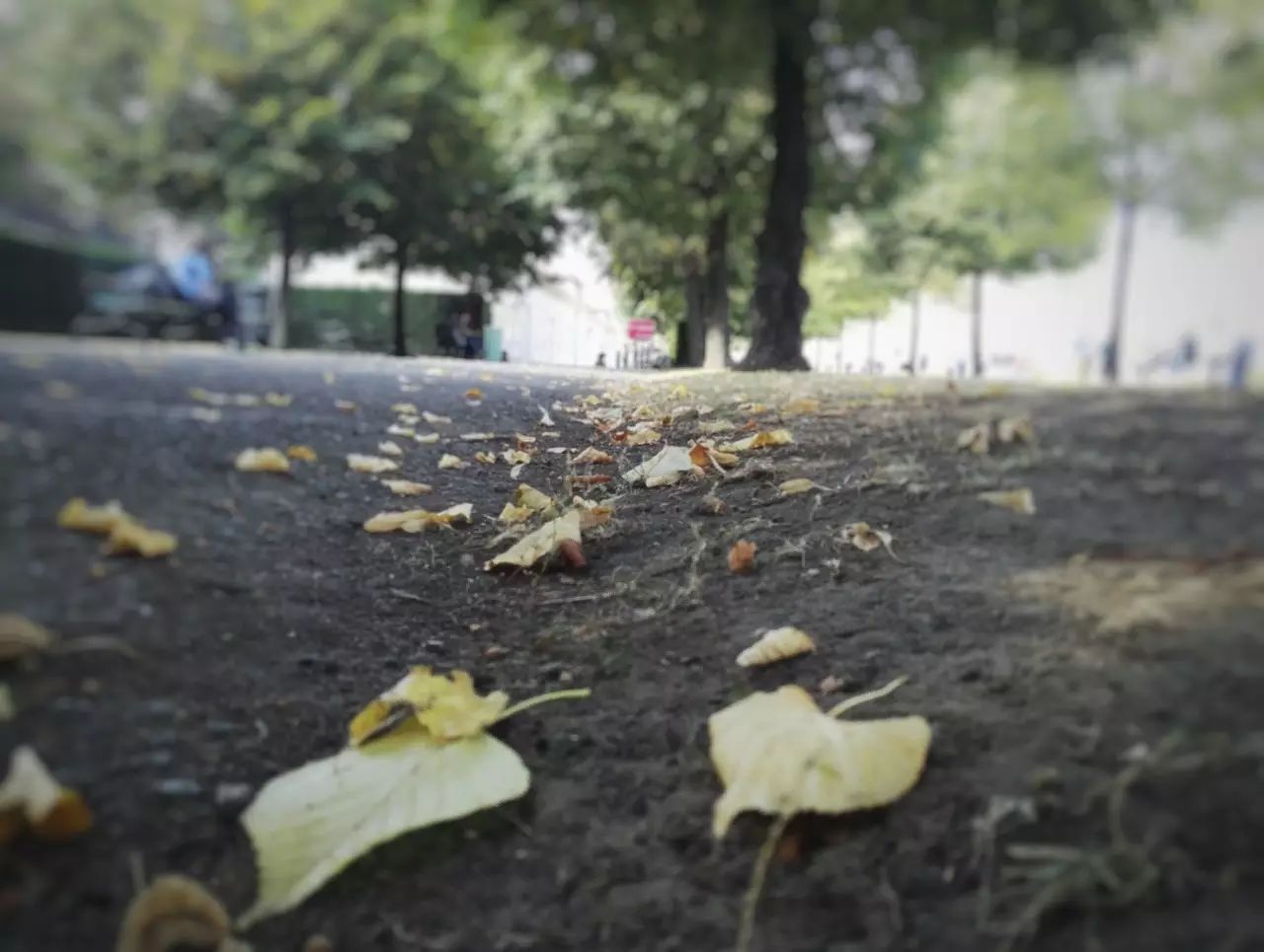 交换手记：皇家墓穴勘探笔记