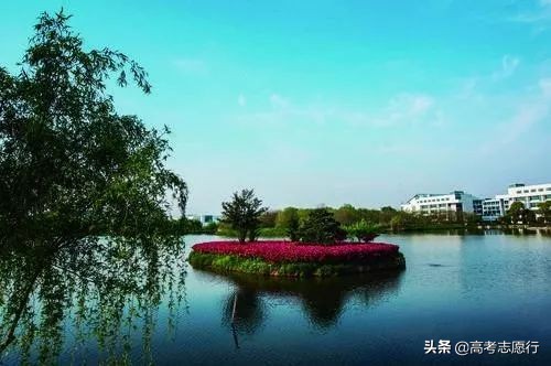 有哪些易被忽视的好大学,那些被忽视的大学