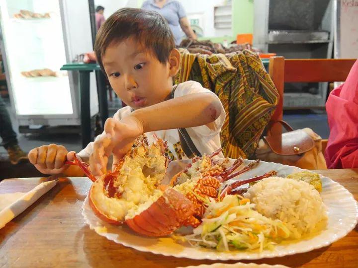 他叫辛巴，不是狮子王，8岁穿越12国：最好的教育，永远在路上