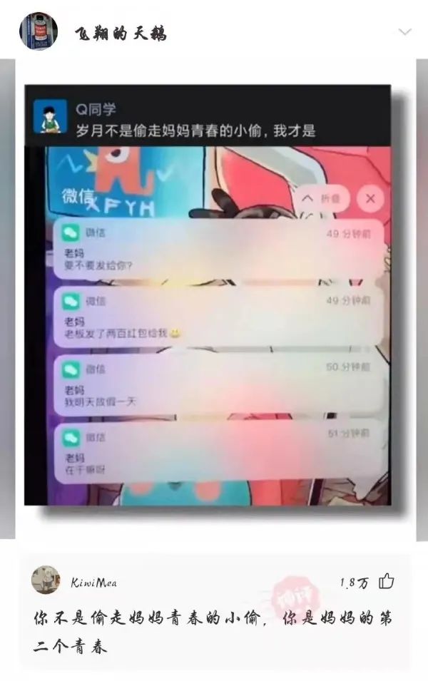 看到铲屎官终于回家，立即安心地睡着了|冷段子1986