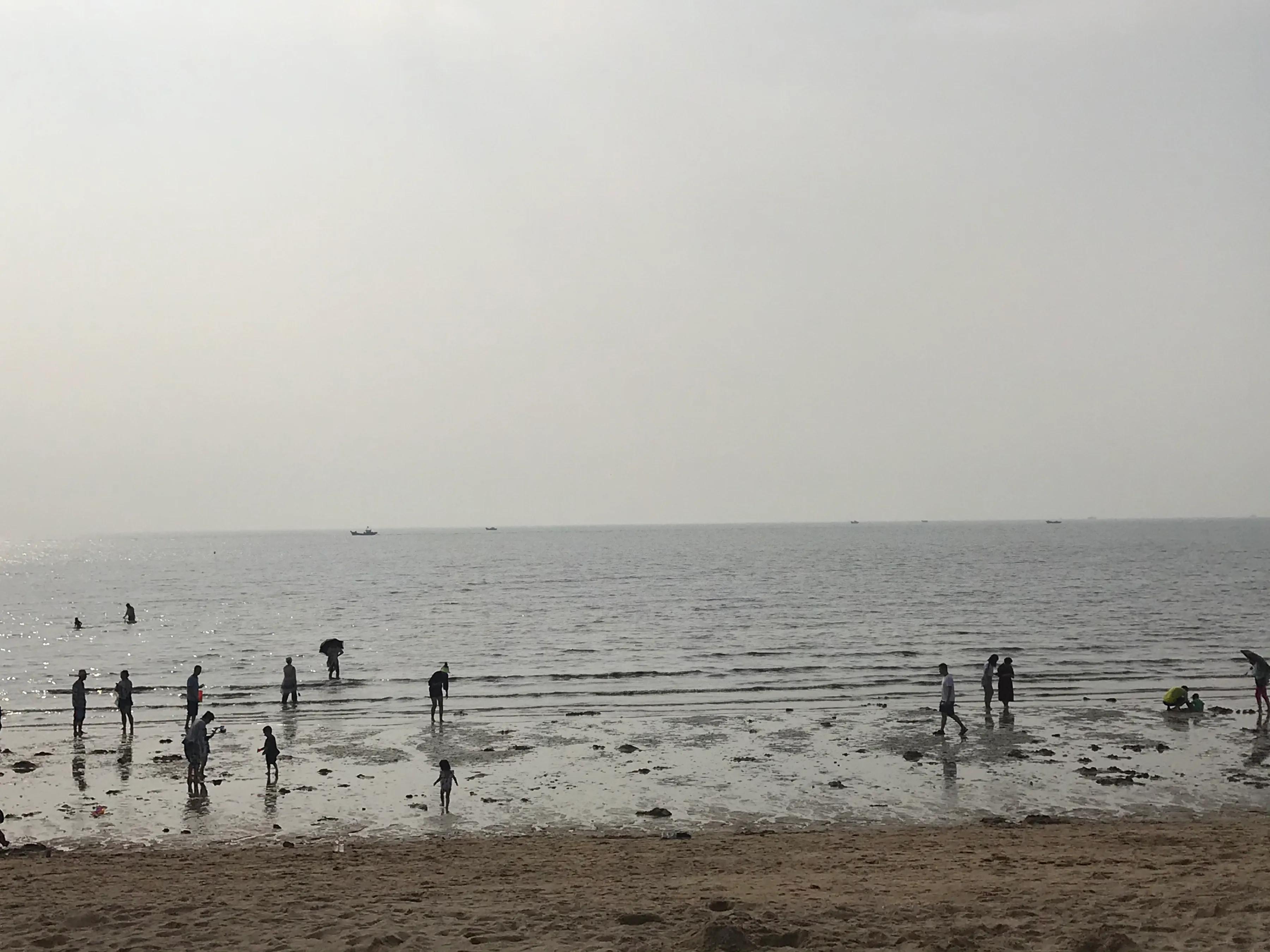 营口北海海洋公园免门票,营口北海海洋公园简介