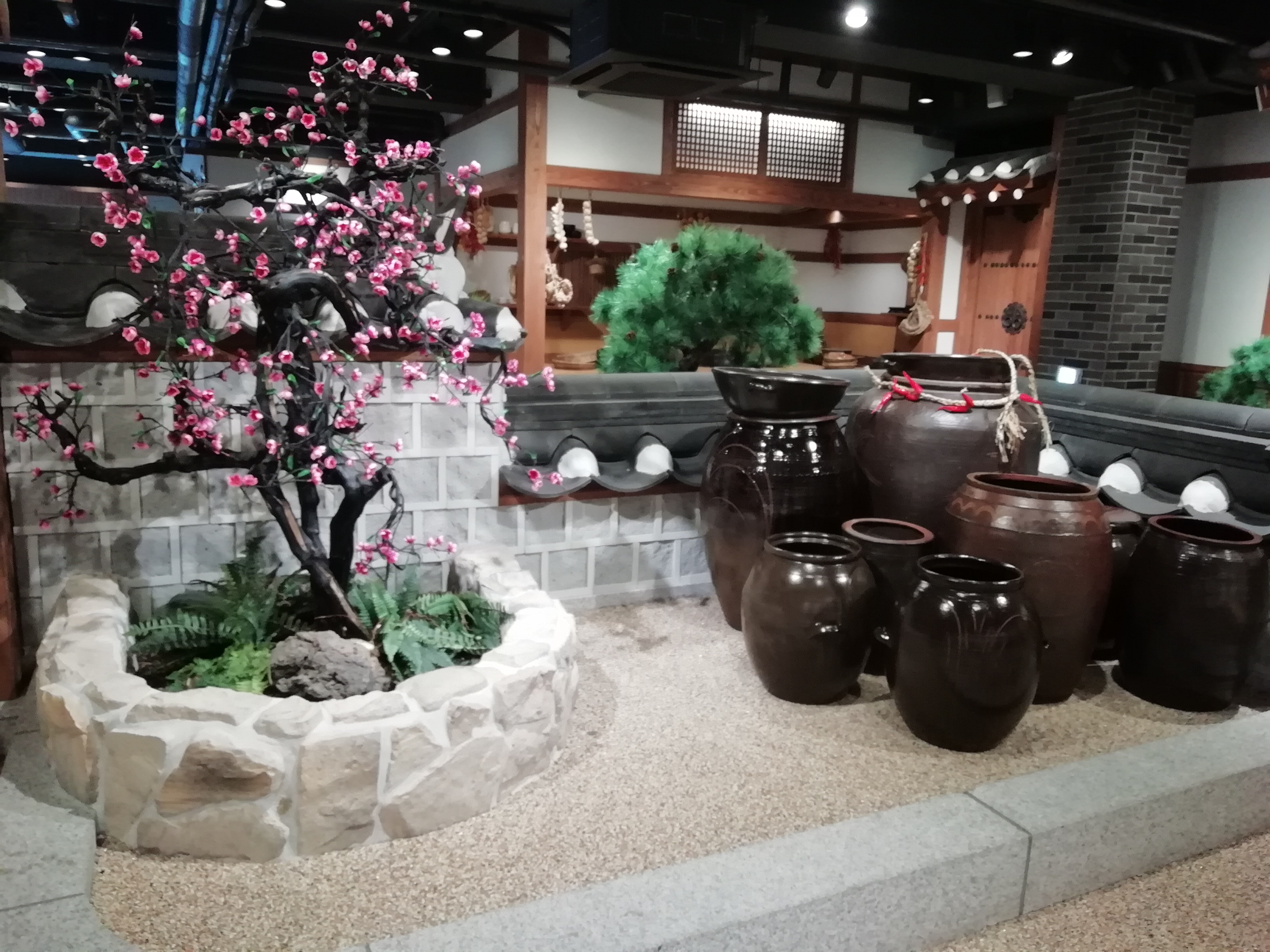 韩国导游现状如何,韩国导游的现状