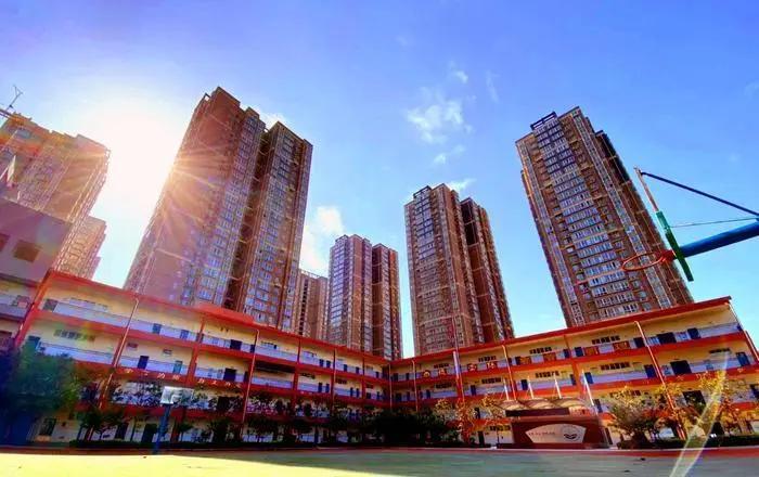 报民办小学为什么要填公办,报民办初中利弊