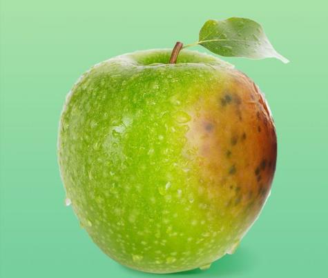 你的鼻头上有黑头怎么办,鼻尖上的黑头怎么处理