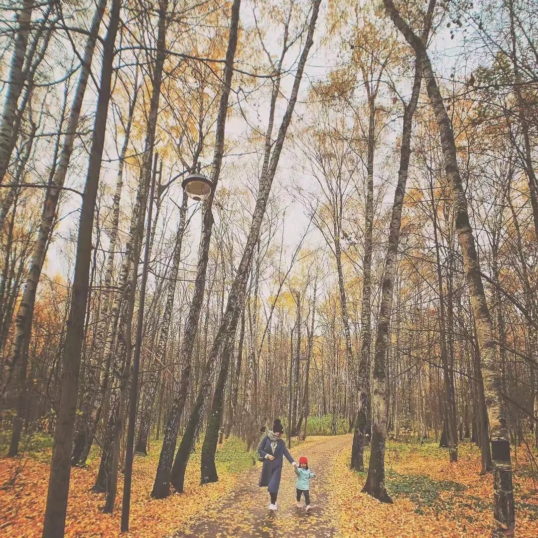 我们跟你一样挑剔,来自网红kol妈妈们的走心推荐!