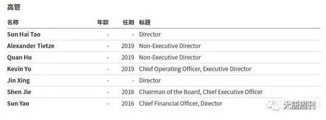 瀚奇——奇多美上市谜团,下