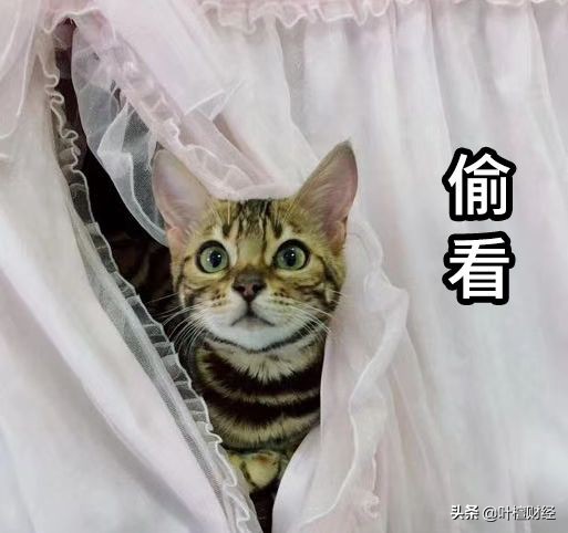 定投指数基金的技巧与方法,目前定投选择什么指数基金好