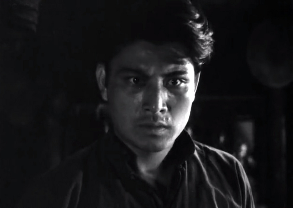 上影厂拍摄的老演员是谁,80年代上影厂3位美女明星