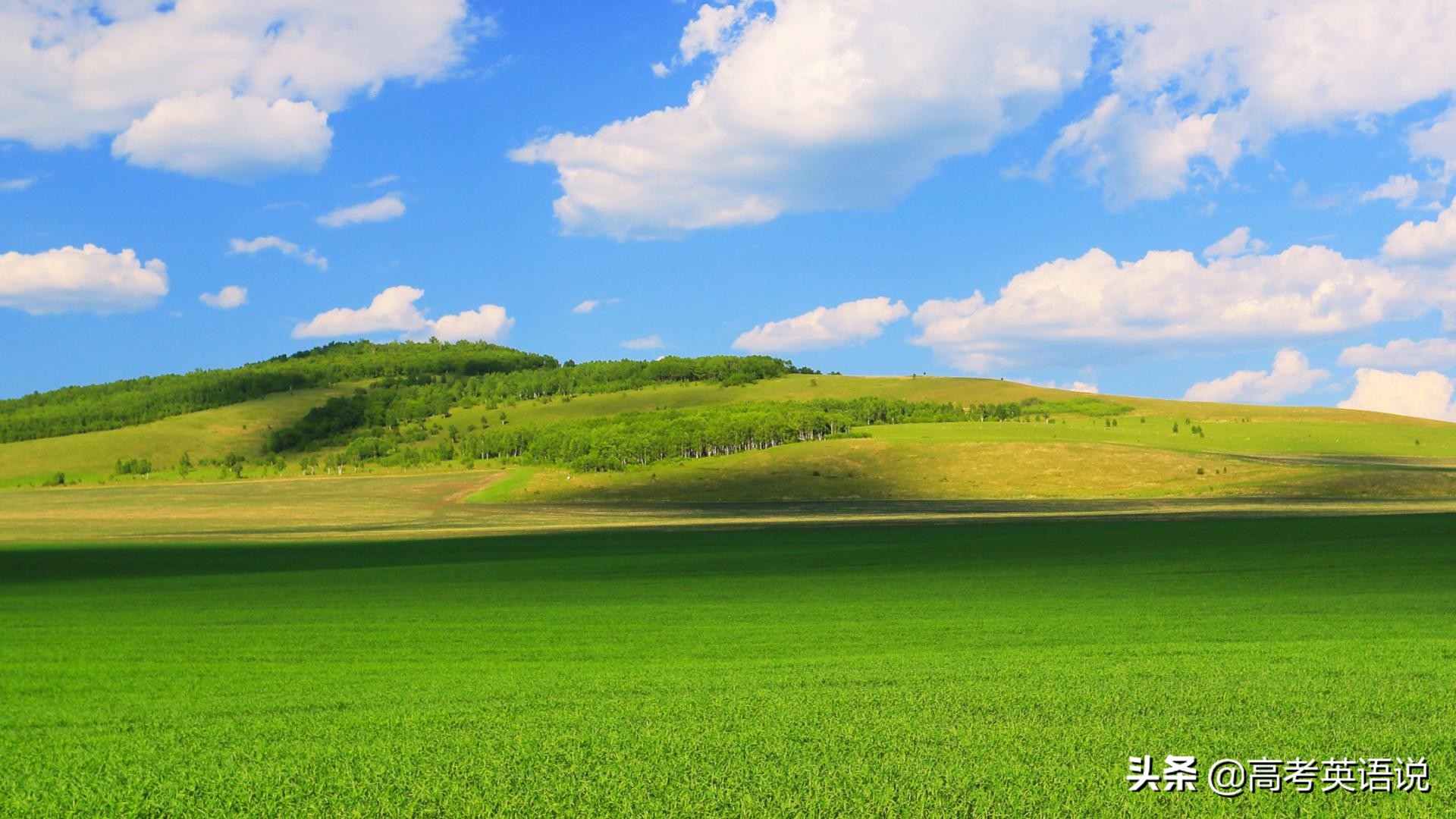 2020年7月浙江卷英语答案,2020年浙江英语试卷译文