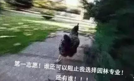 笑谈种树的艺术——看园林专业的魅力